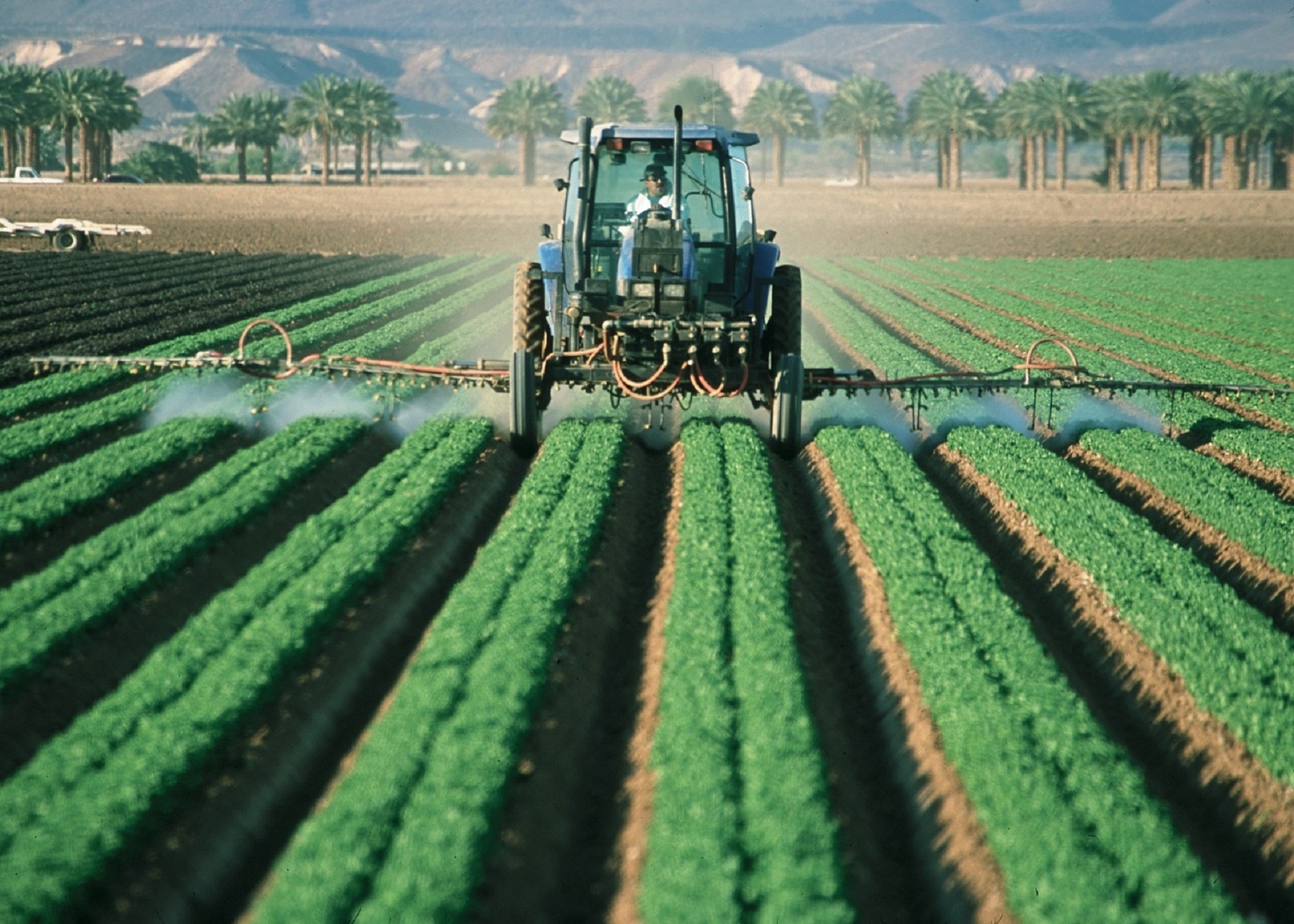 The Importance of Soil Health in Agriculture