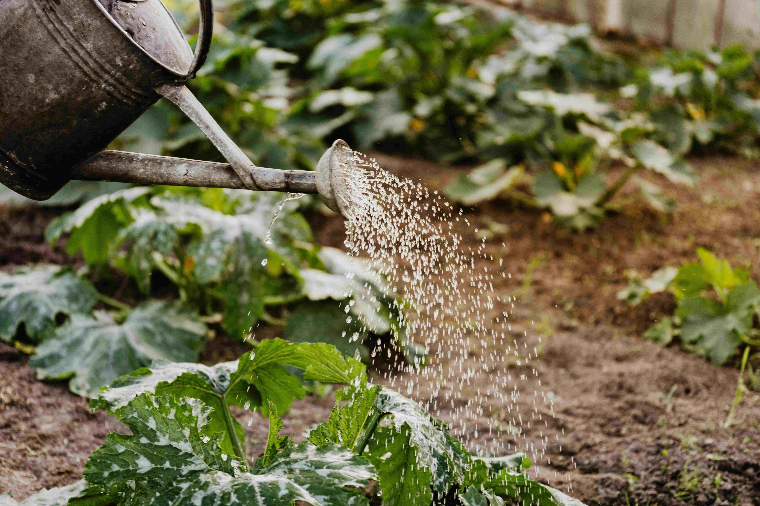 Innovations in Irrigation Techniques for Agriculture