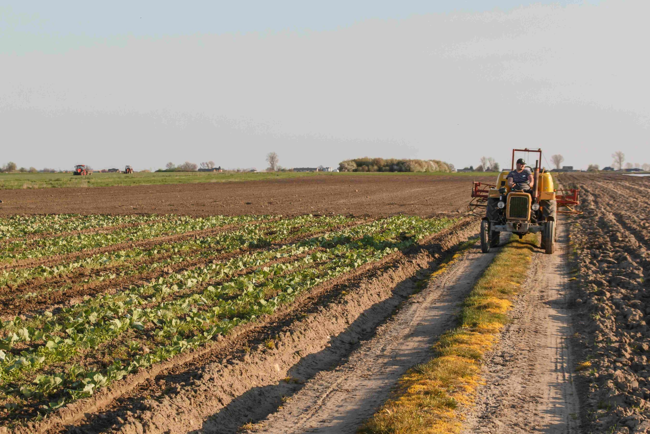 The Role of Agri-Tourism in Promoting Sustainable Farming