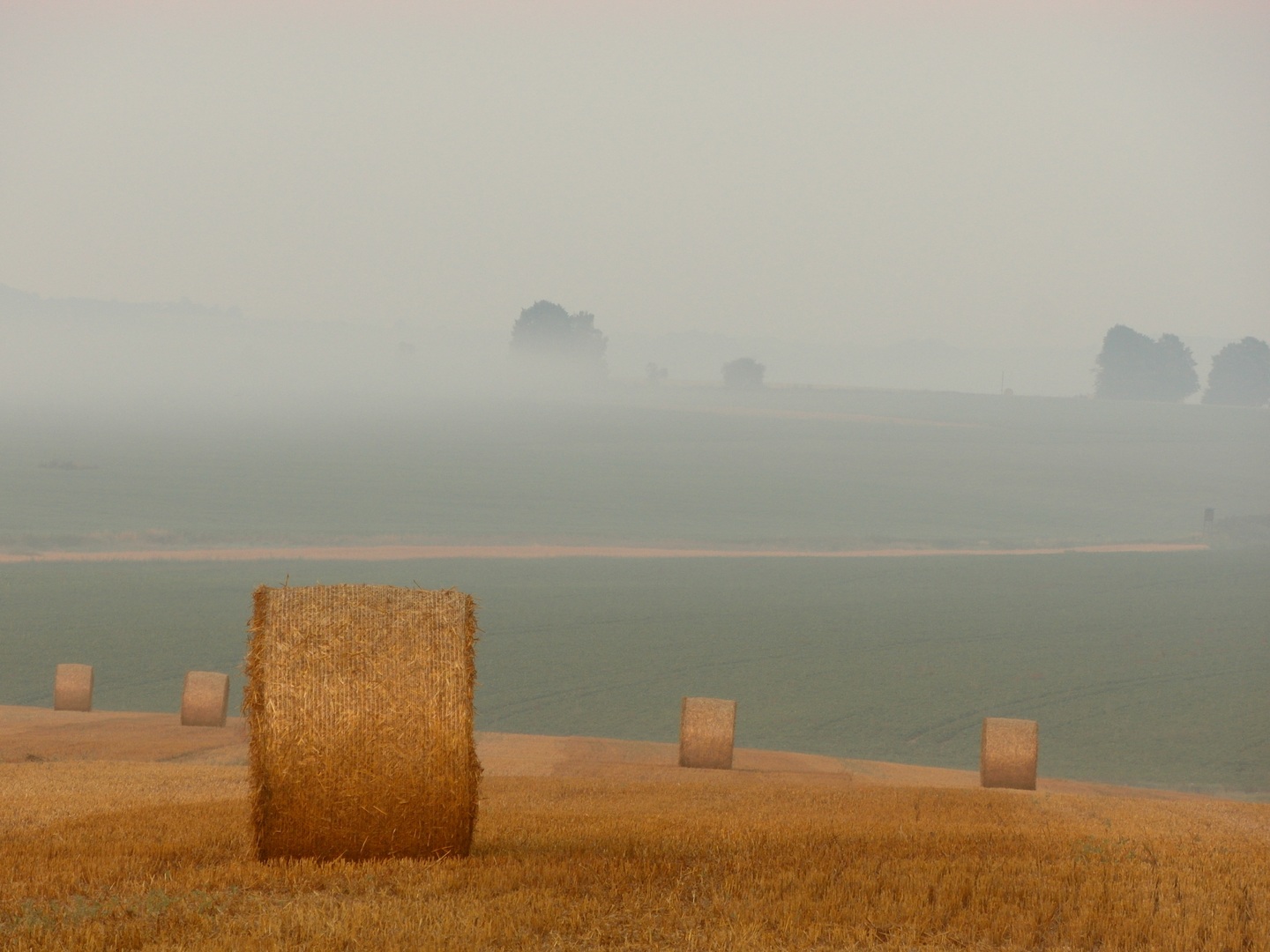 Innovations in Irrigation Techniques for Agriculture