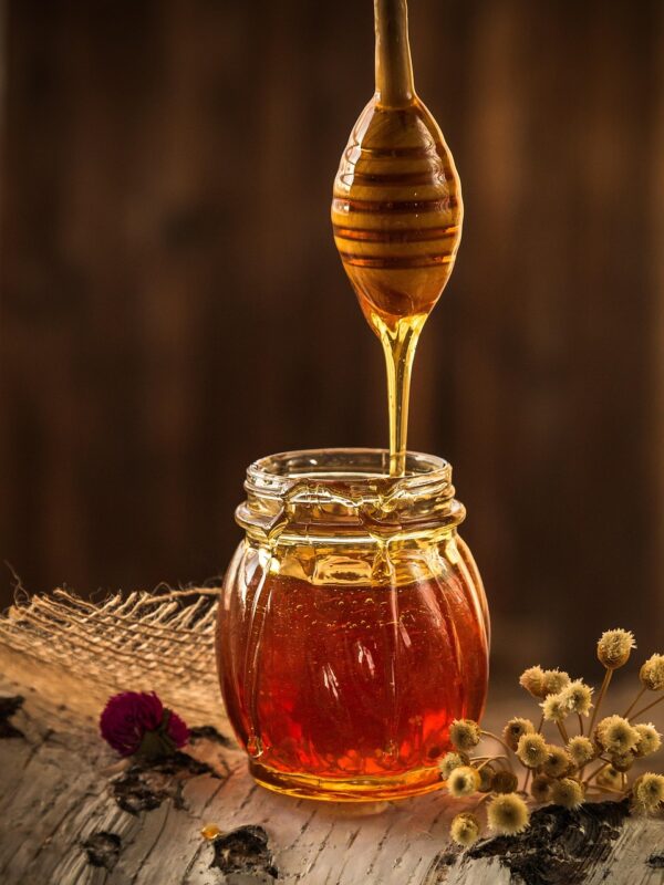 Organic Forest Honey