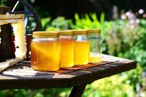 Acacia Honey