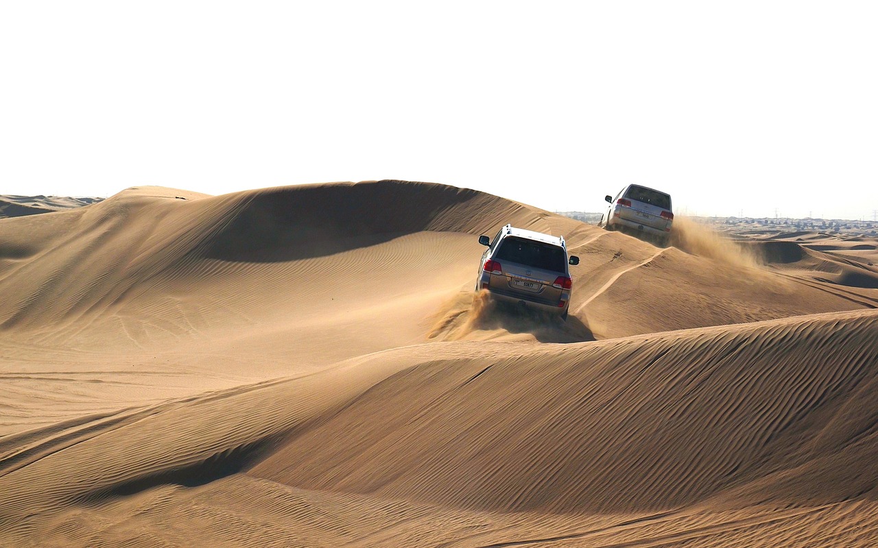 Sahara Desert Odyssey