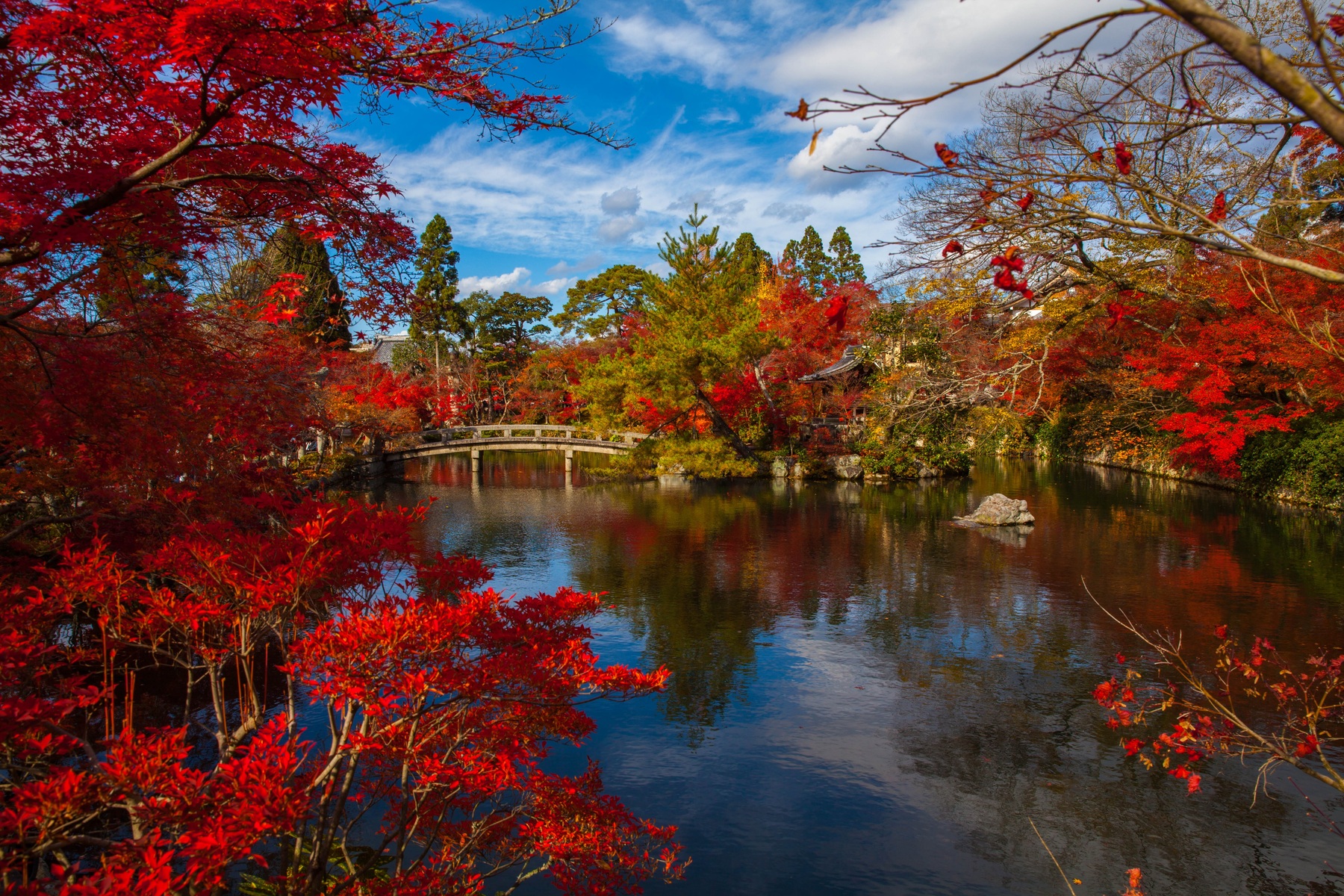 Kyoto Culture Discovery