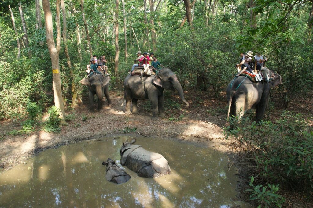 Chitwan Jungle Safari