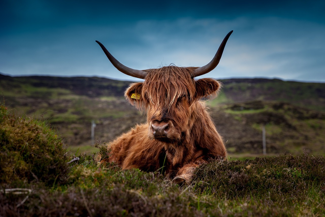 The Castles of Scotland: Tales from the Highlands