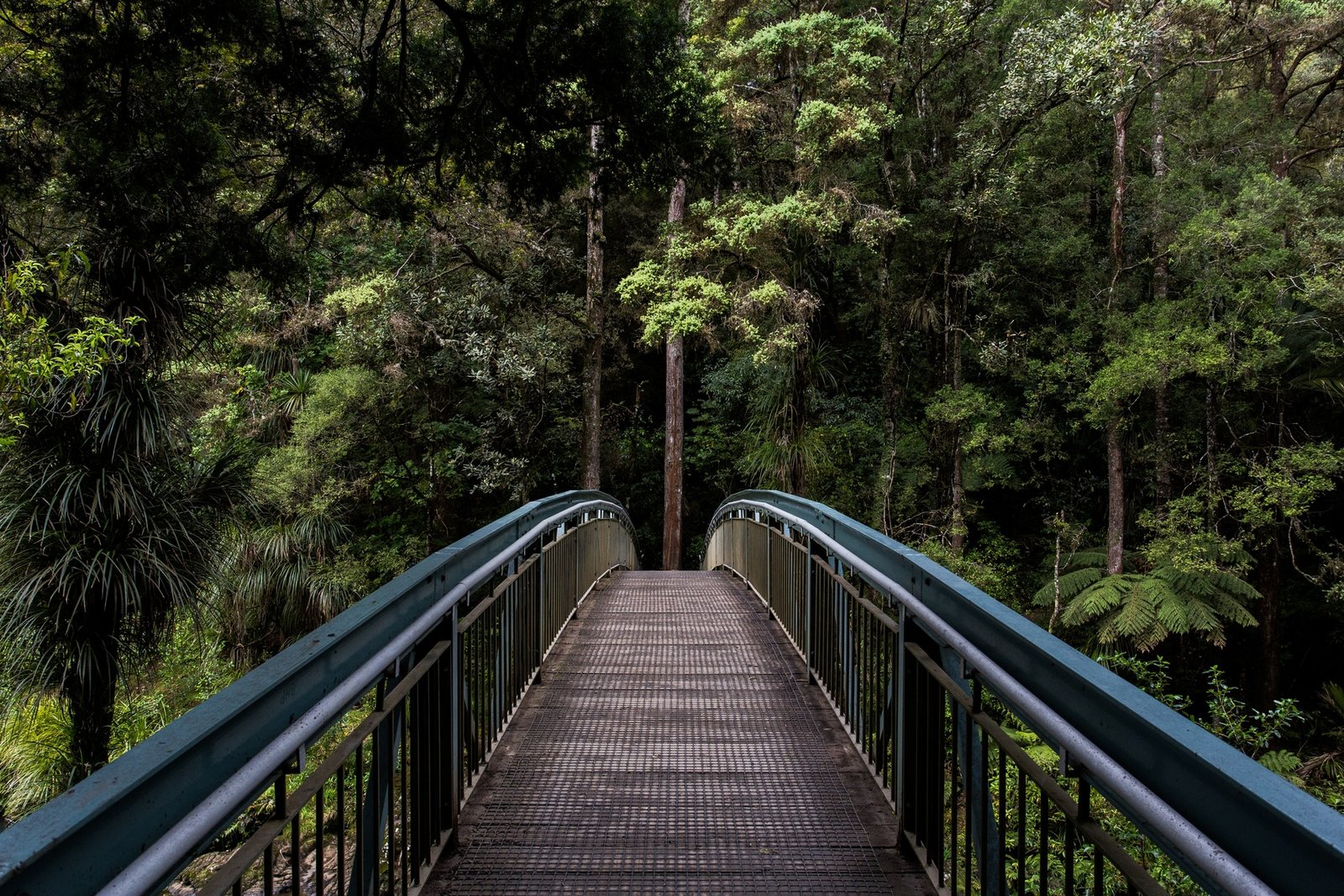 Why Traveling Creates Memories That Last a Lifetime