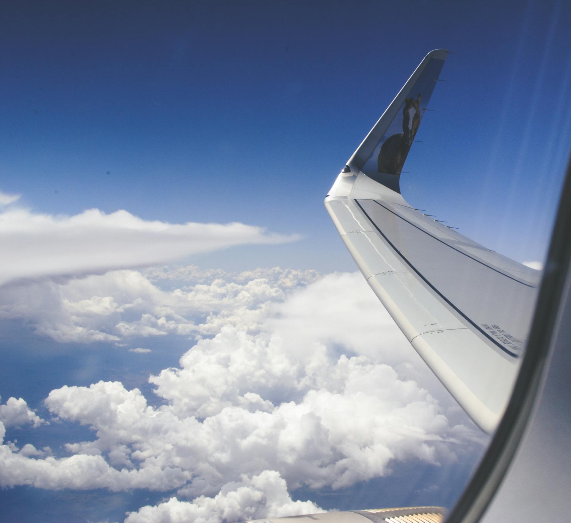 Your Ultimate Guide to Stress-Free Travel: What’s Included & What’s Not